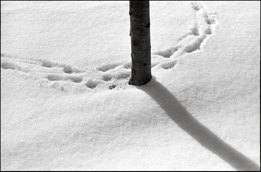 Nikon F test 4