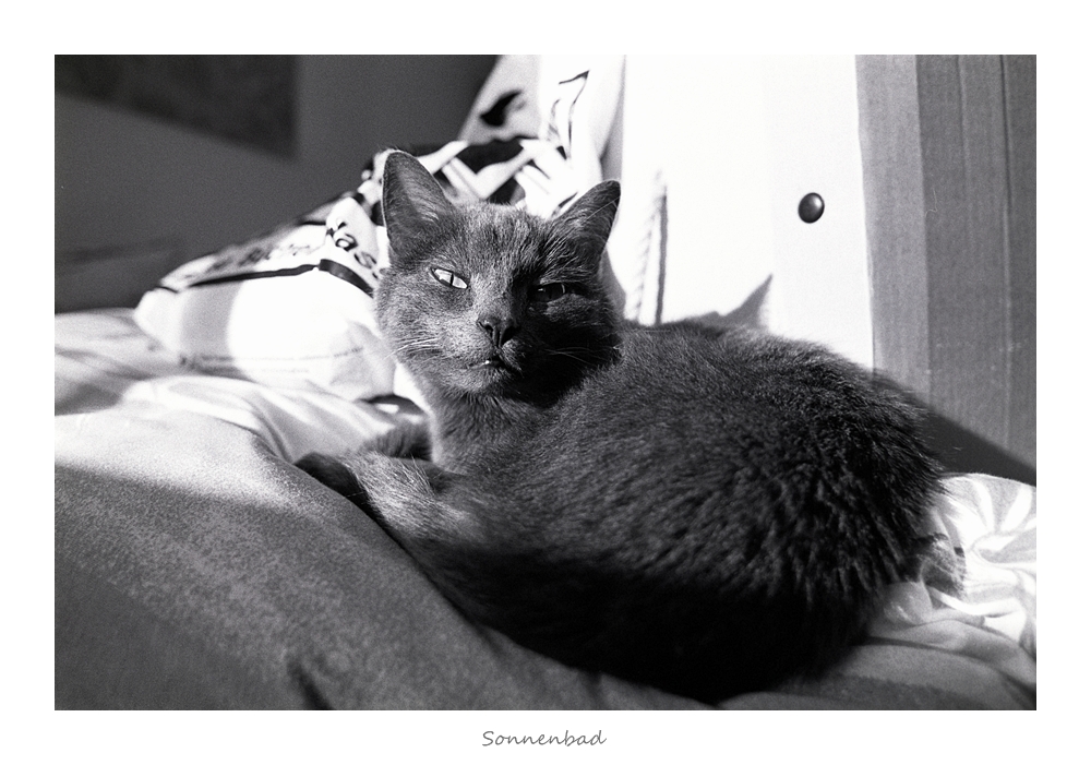 Nikon F100, Ilford Delta 400, Nikkor 24/2.8 AiS @ f/4