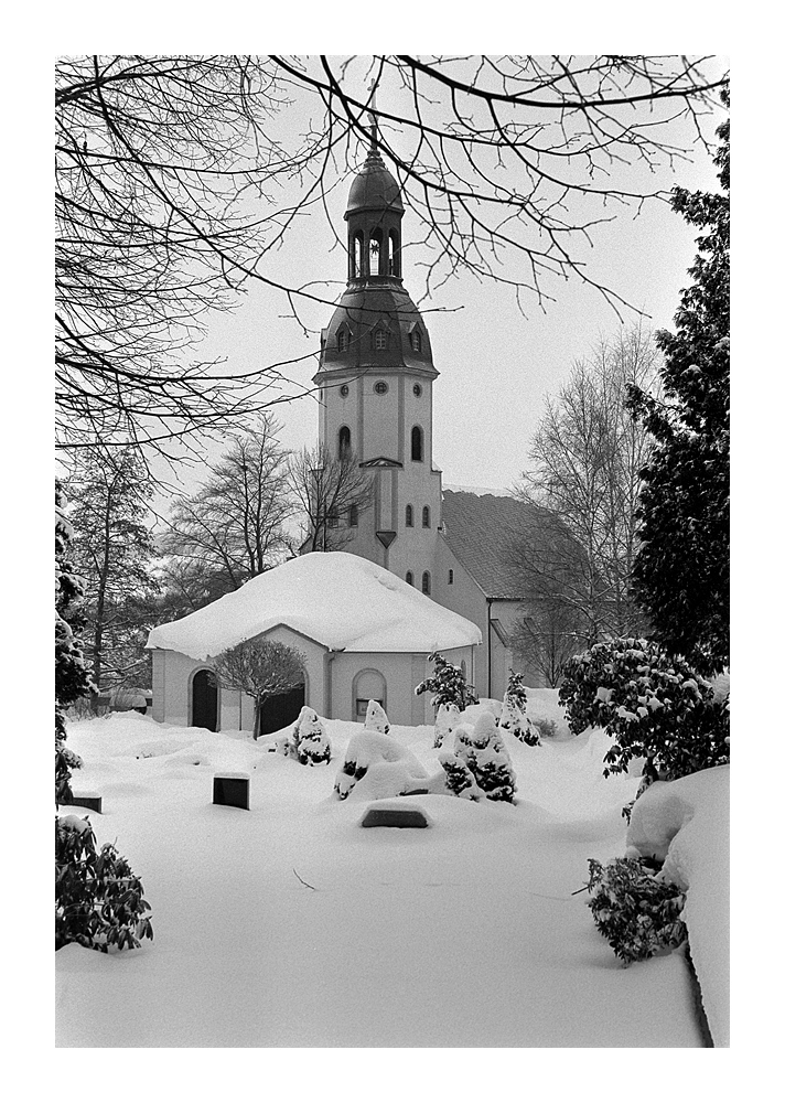 Nikon F100, Ilford Delta 400
