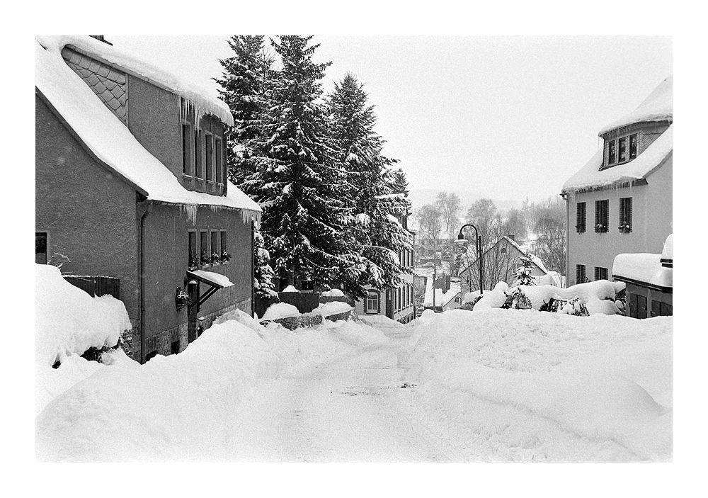 Nikon F100, Ilford Delta 400