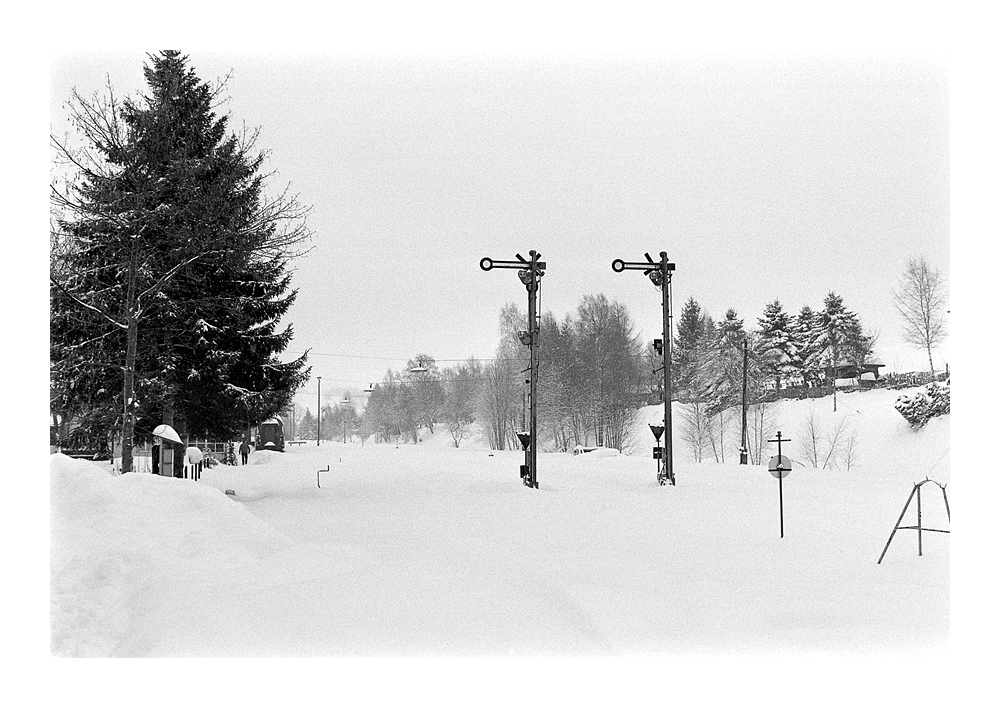 Nikon F100, Ilford Delta 400