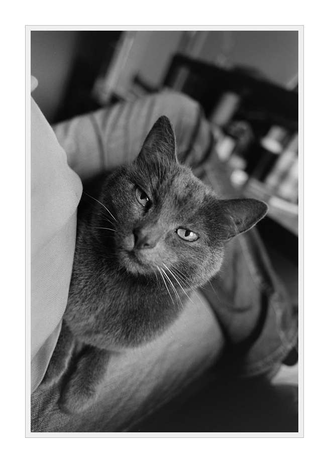Nikon F100, Ilford FP4, Nikkor 24/2.8 AiS @ f/2.8, 1/50