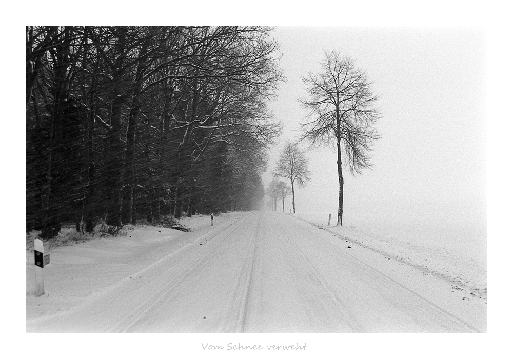 Nikon F100, Ilford FP4, Nikkor AF 28-70D 3.5-4.5