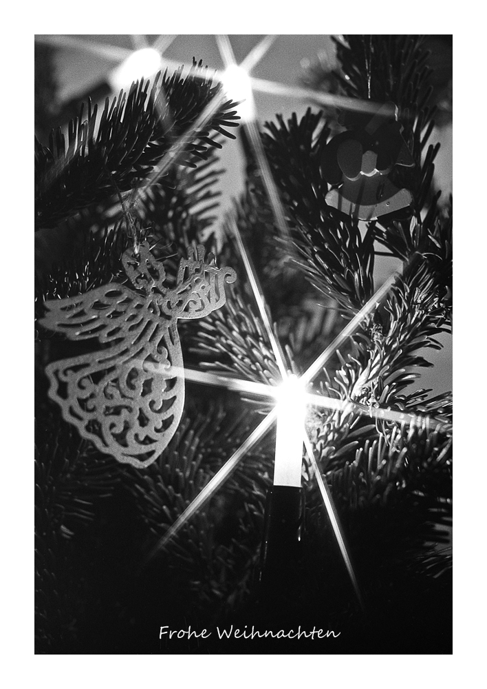 Nikon F100, Ilford PAN F 50, Nikkor AF 50/1.8D @ f/4, Sternenfilter