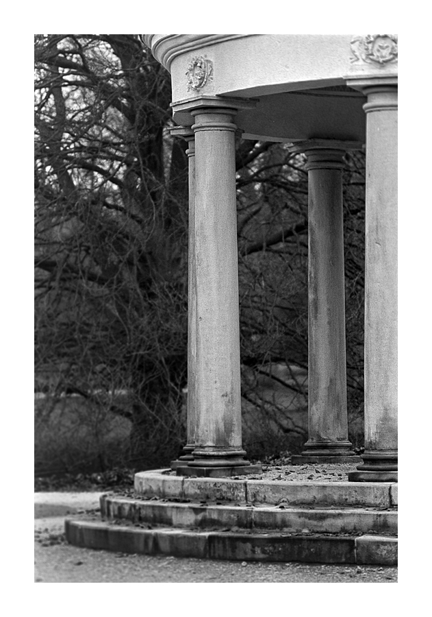 Nikon F100, Neopan 400, 135/2.8 AiS