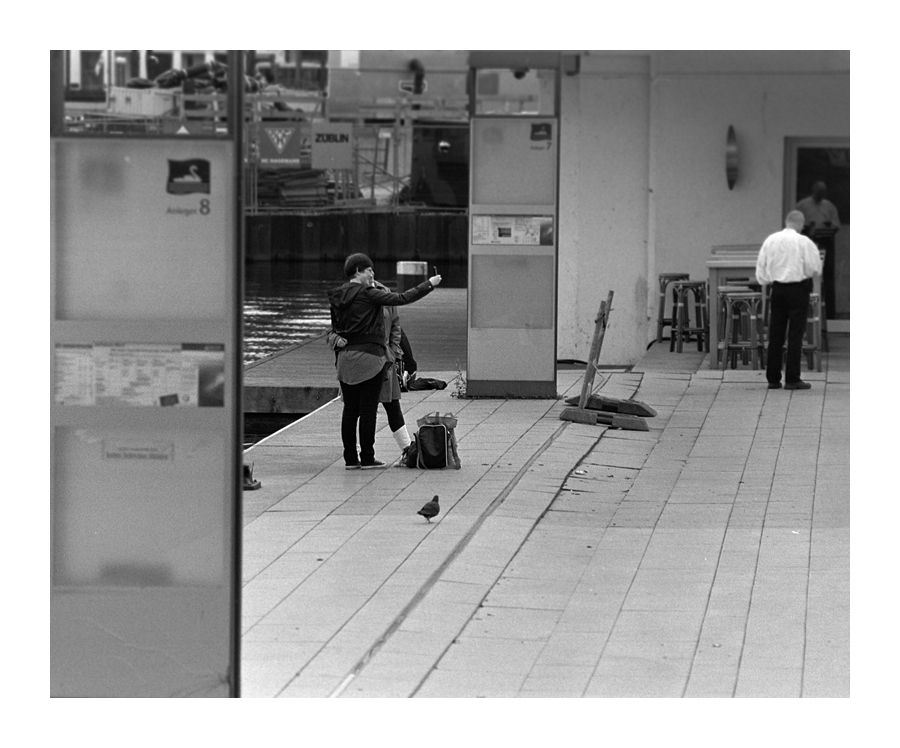 Nikon F100, Nikkor 200/4 AiS, Ilford Delta 400