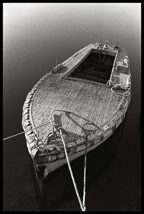 nikon f100