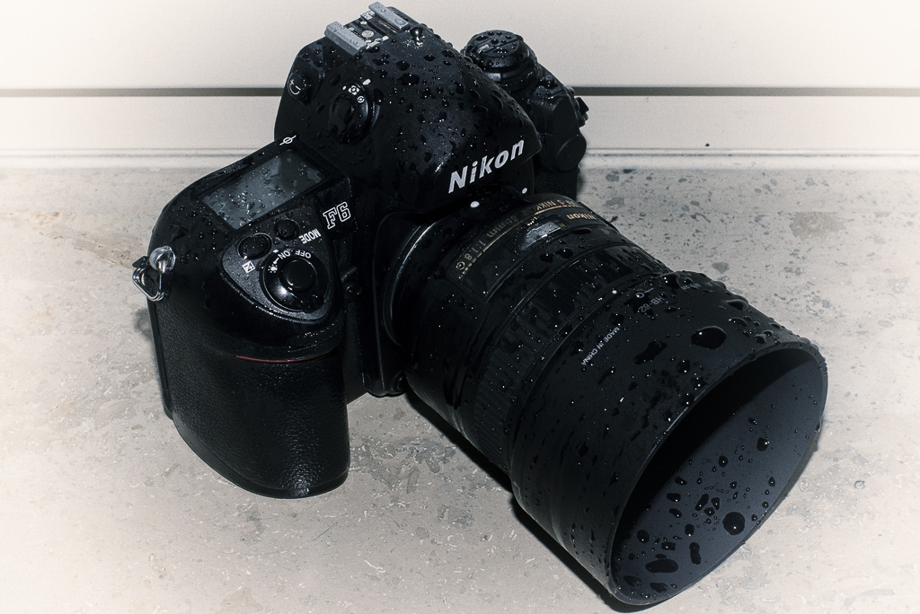 Nikon F6 5