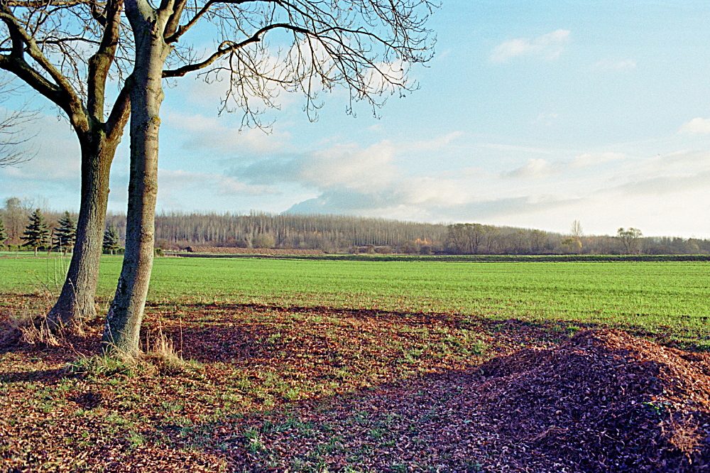Nikon FM3a