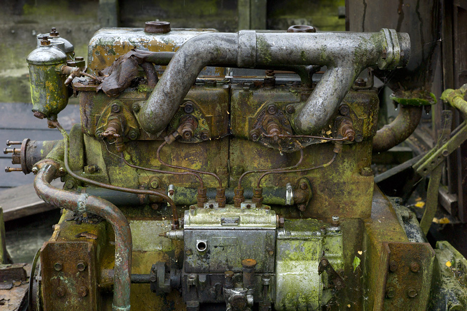 Nikon Treffen Usedom 2013 1037311