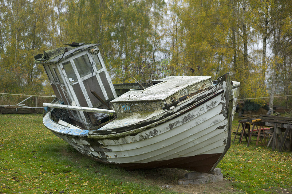 Nikon Treffen Usedom 2013 1037313