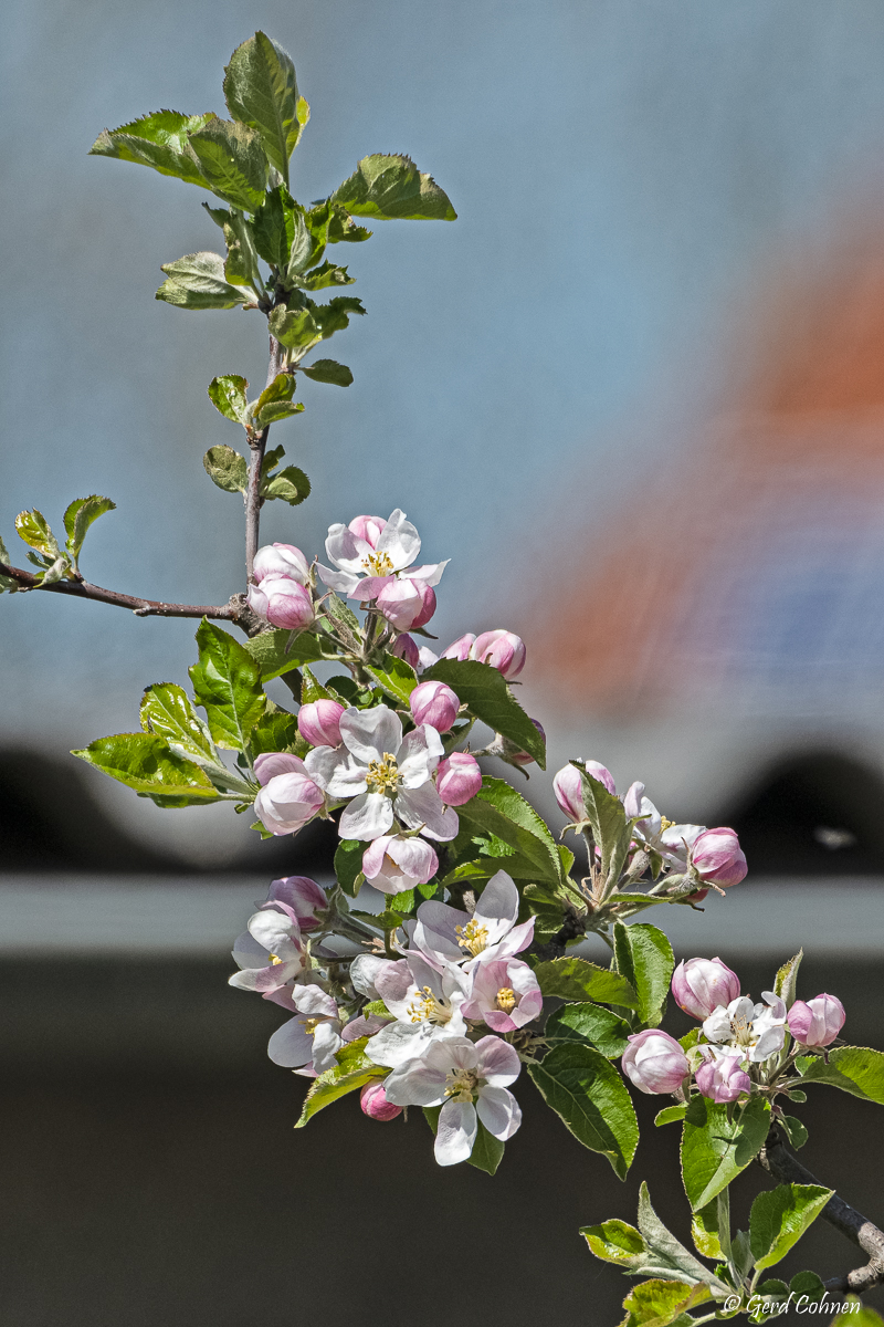 NIKON Z 7_2_2021_04_26_12_55_Z72_0970.jpg