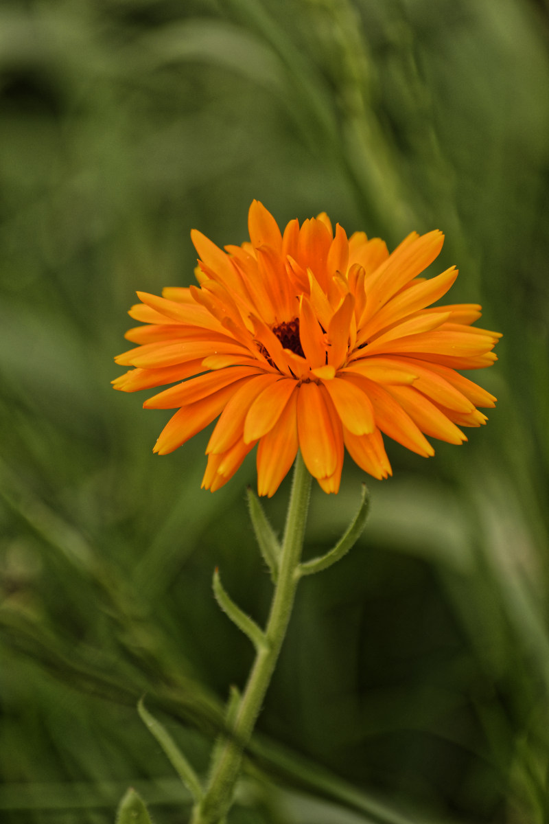 NIKON_2022_00267NF.jpg