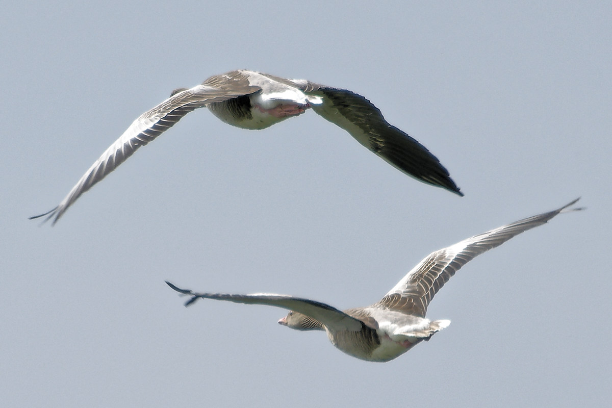 NIKON_2022_00277NF.jpg