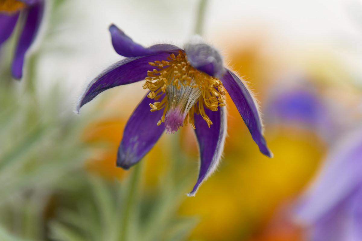 NIKON_2023_01216NF.jpg