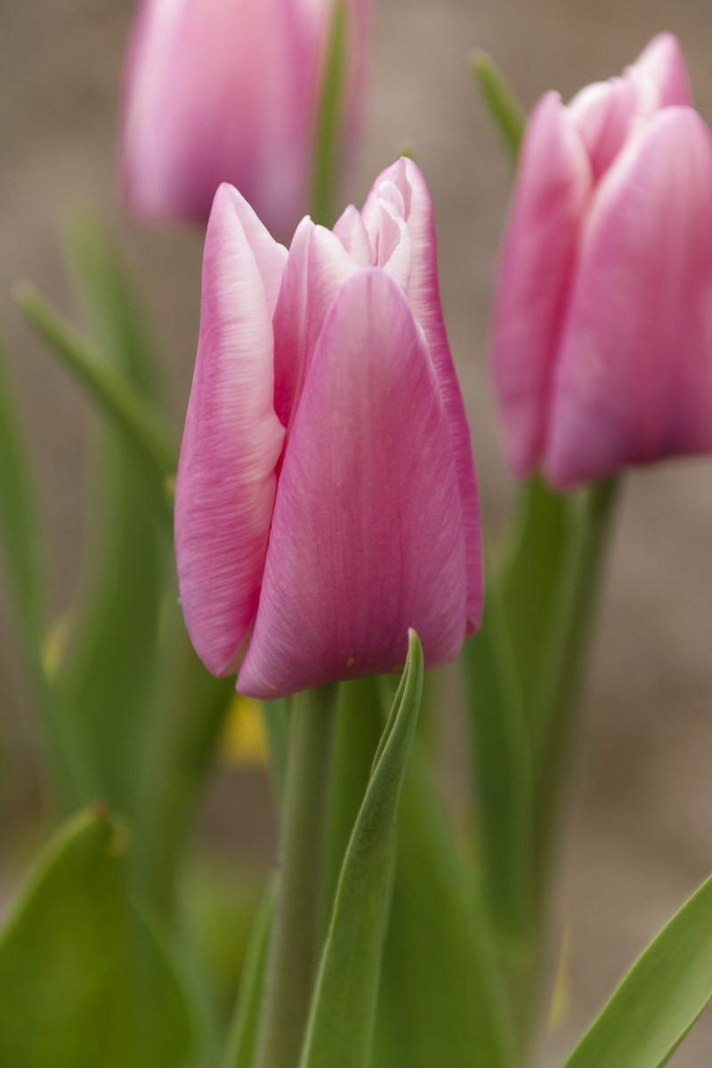 NIKON_2023_01221NF.jpg
