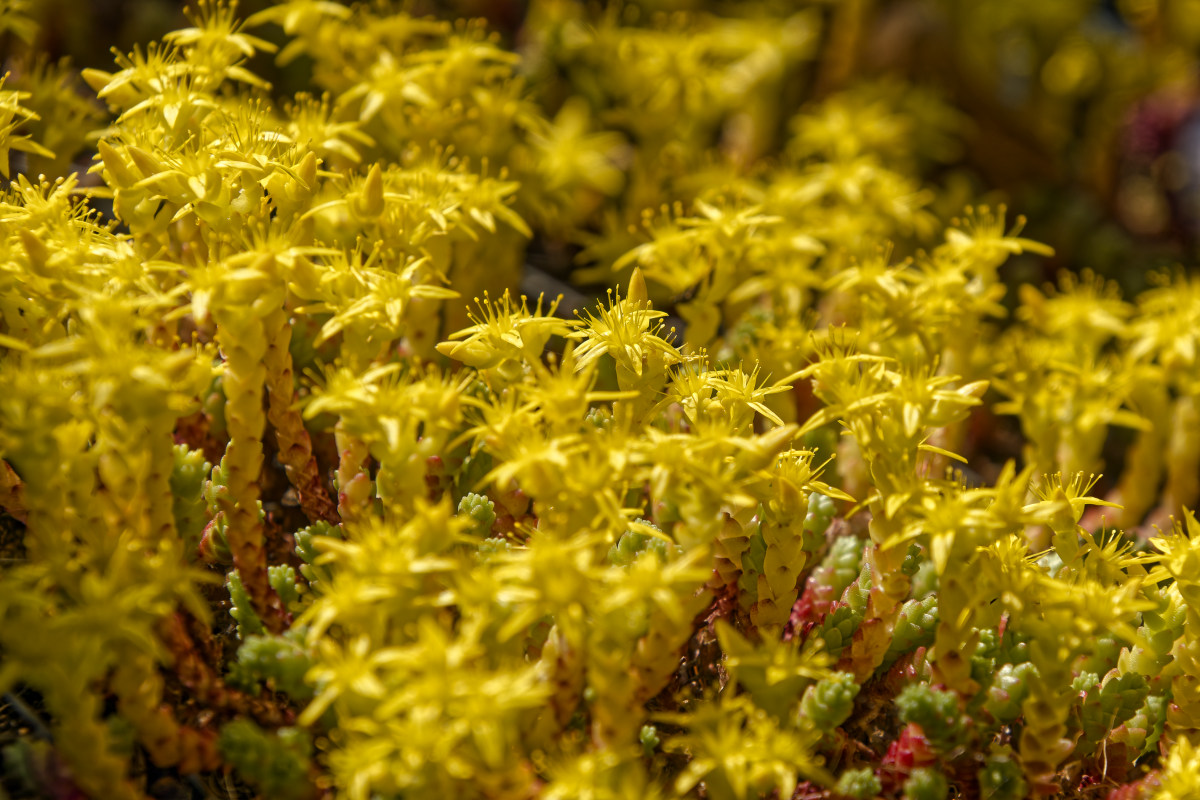 NIKON_2023_01410NF.jpg