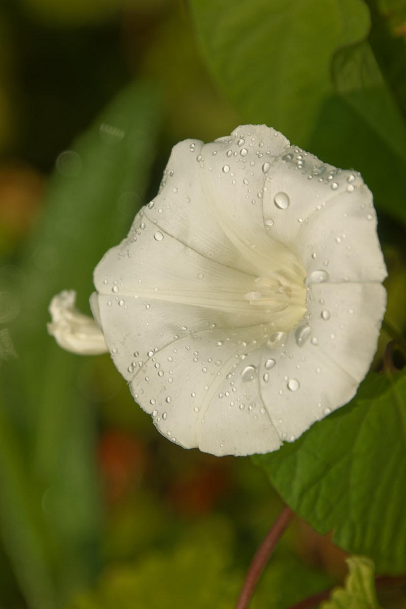 NIKON_2023_01416NF.jpg