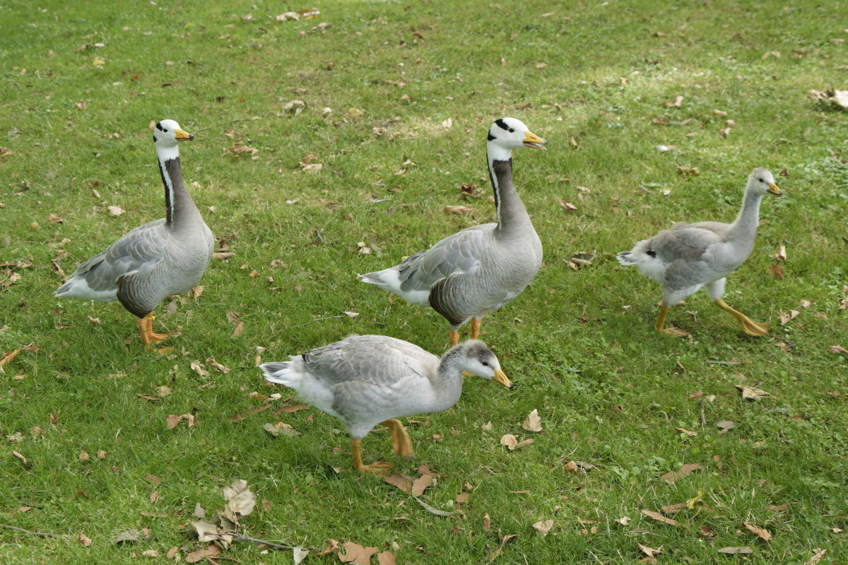 NIKON_2023_01496NF.jpg