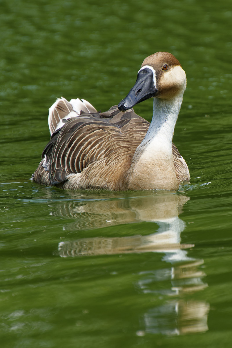 NIKON_2023_01522NF.jpg