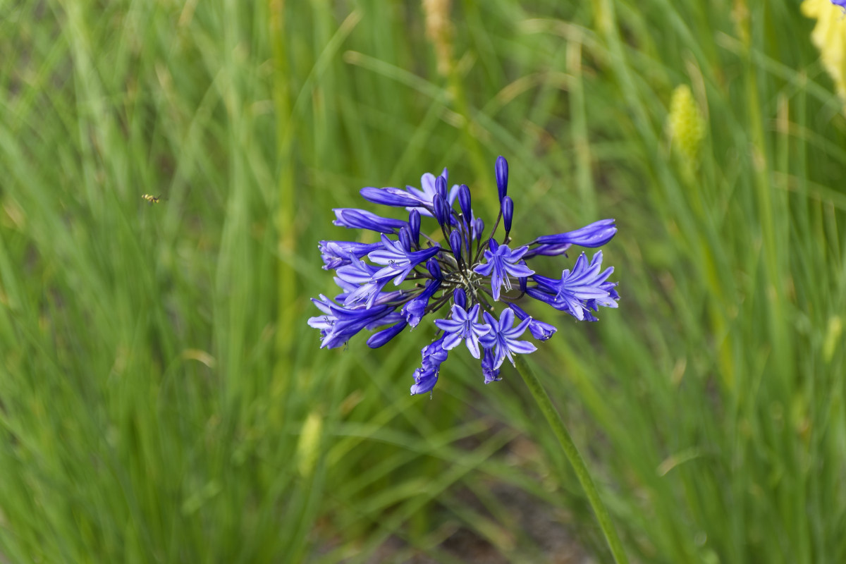 NIKON_2023_01533NF.jpg
