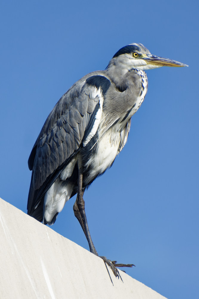NIKON_2023_01845NF.jpg