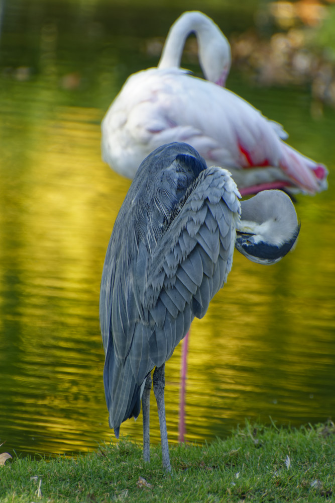 NIKON_2023_01983NF.jpg