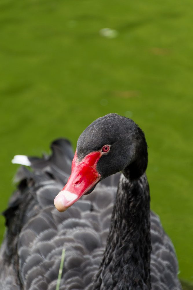 NIKON_2024_00667NF.jpg