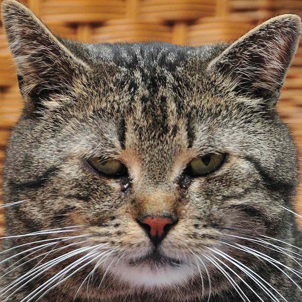Nils verzieht keine Miene