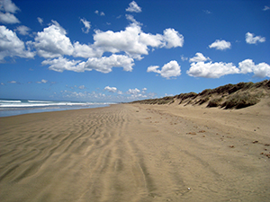 Ninety Mile Beach - Far North