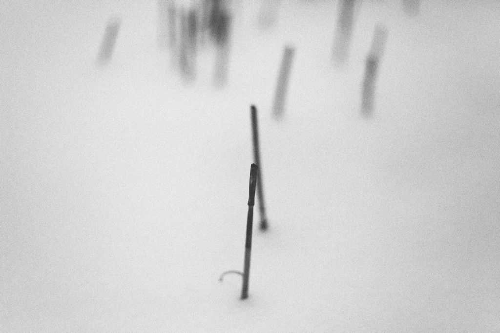 [No title]