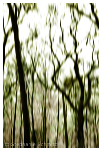 [No title]