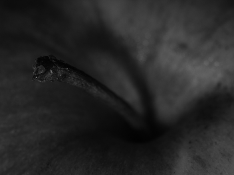 [No title]