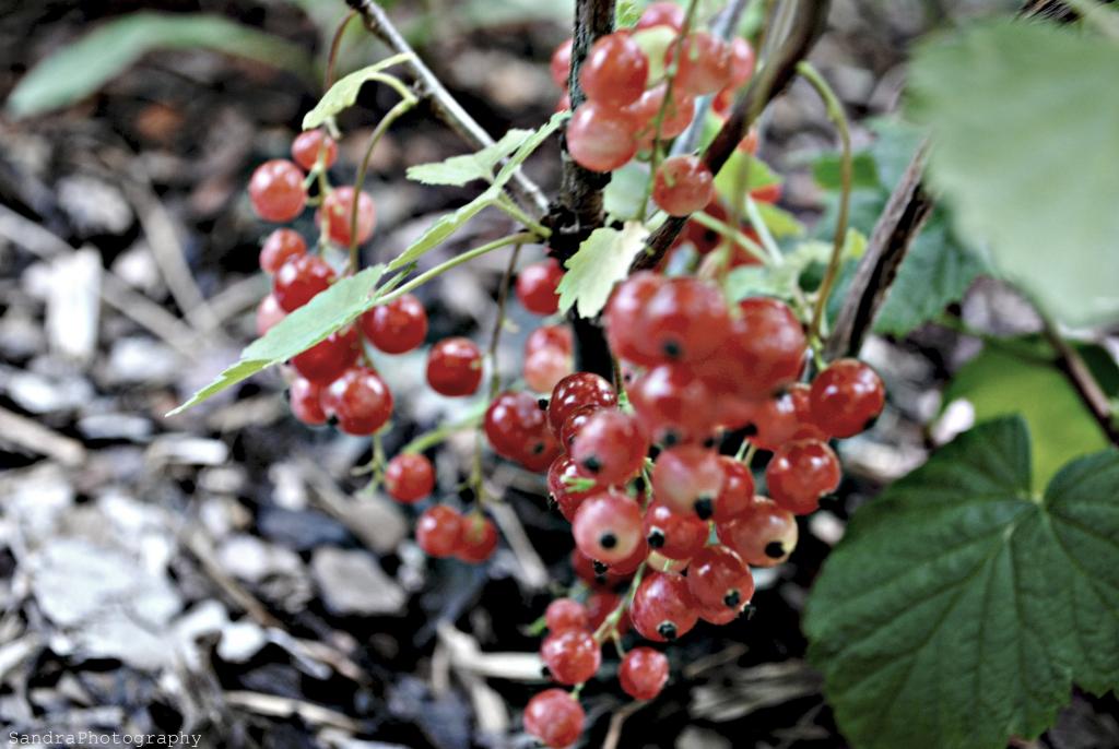 [No title]