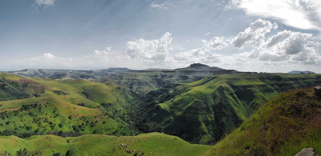 [No title]