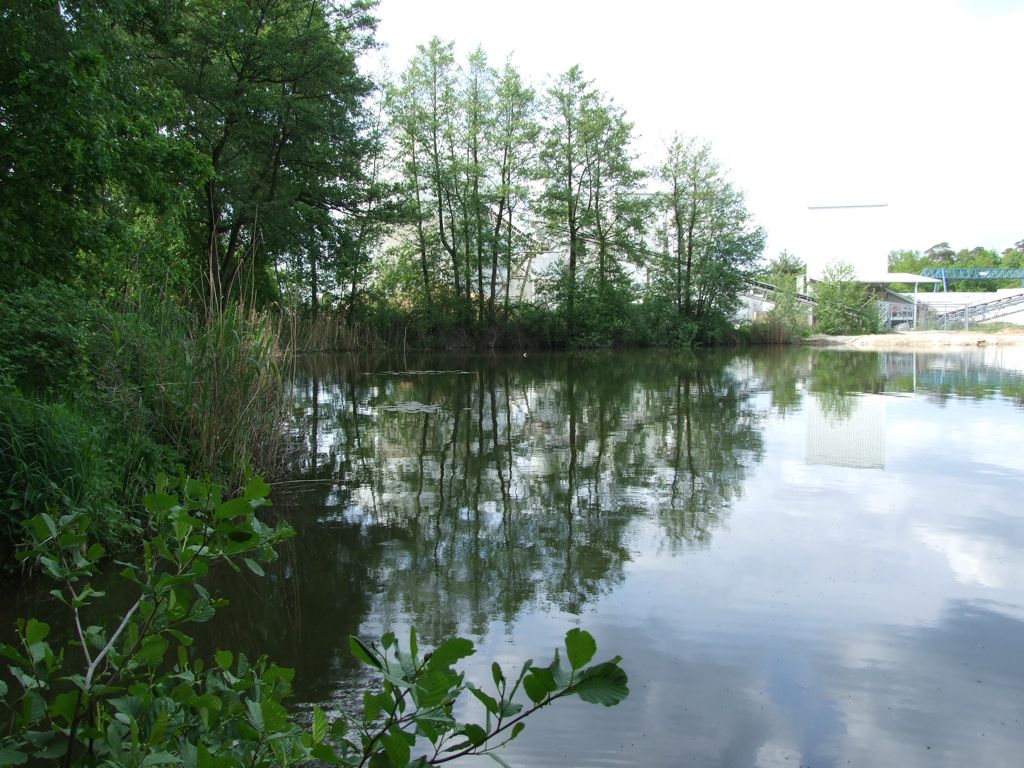 [No title]