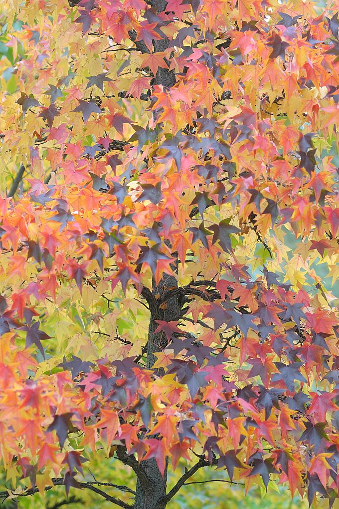 [No title]