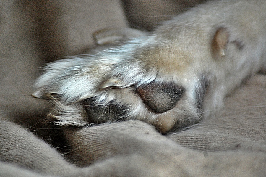 [No title]