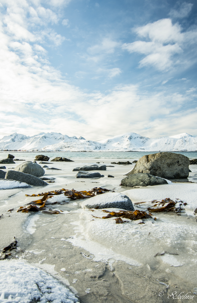 [No title]