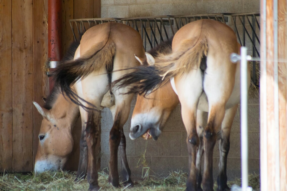[No title]