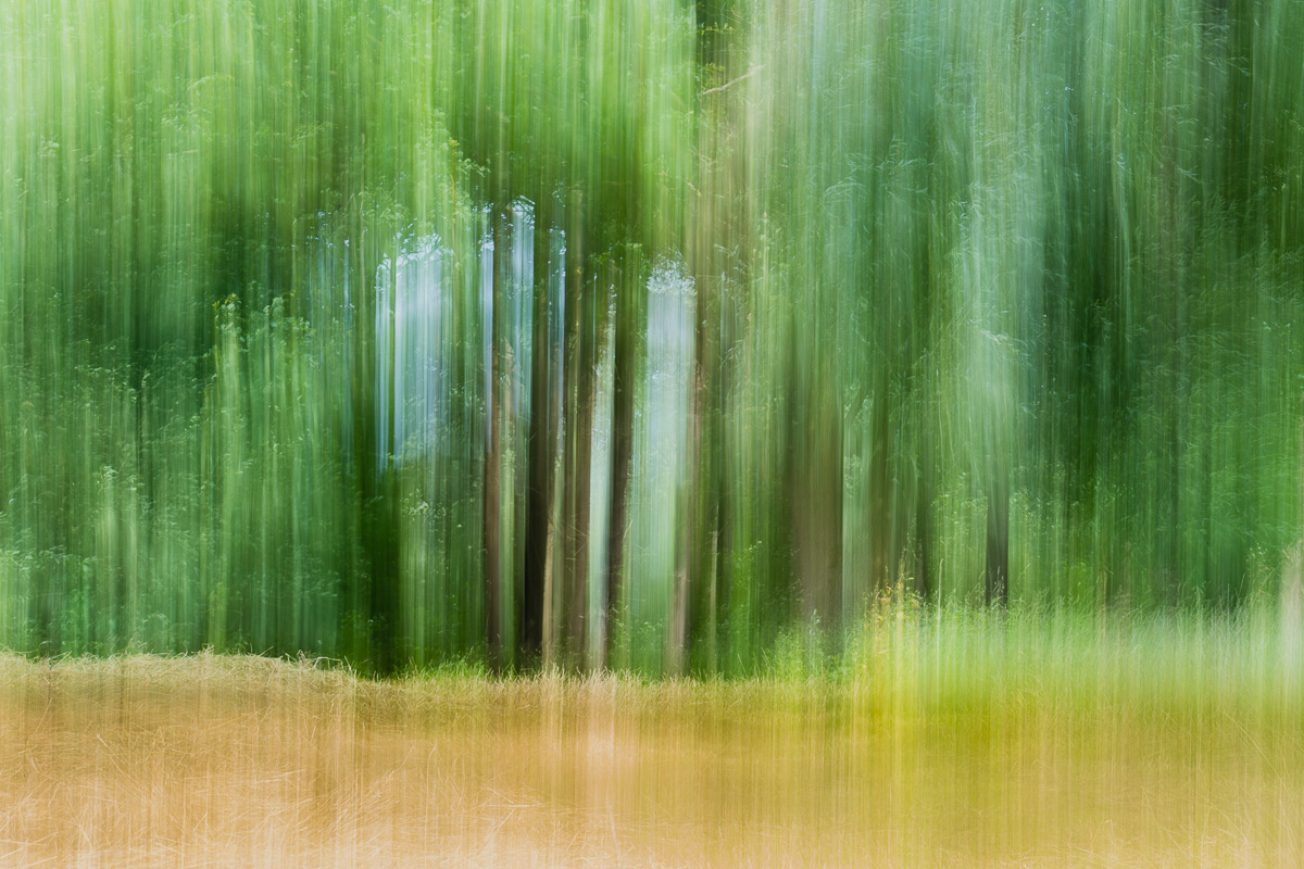 [No title]