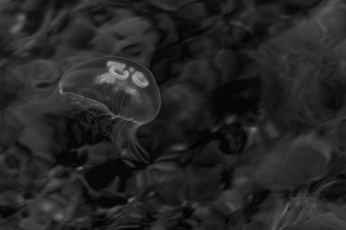[No title]