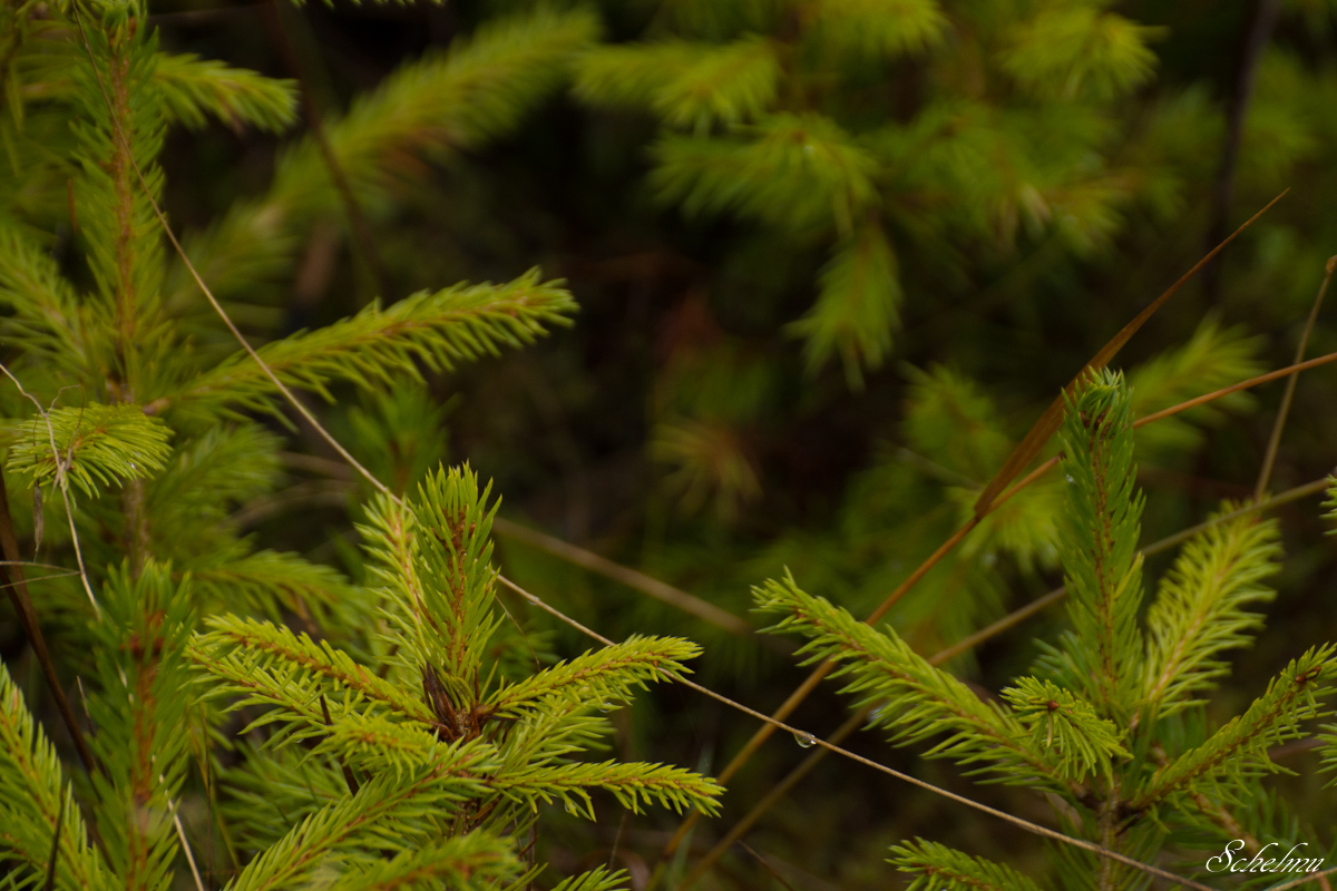 [No title]