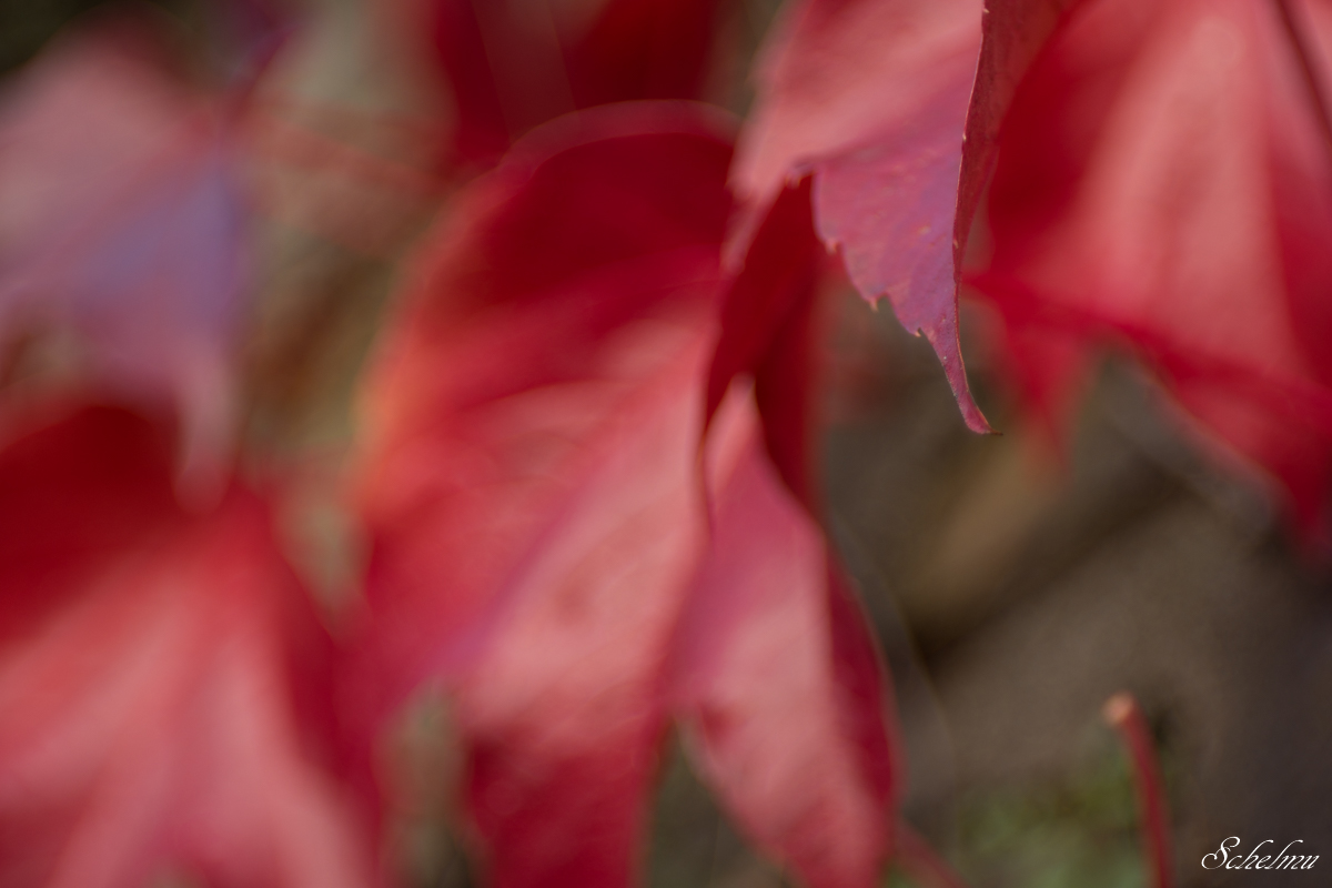 [No title]