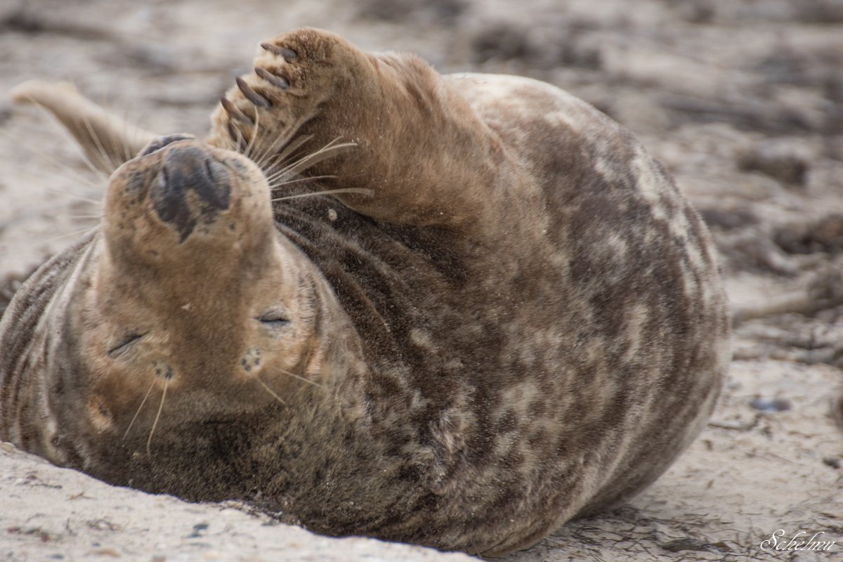 [No title]
