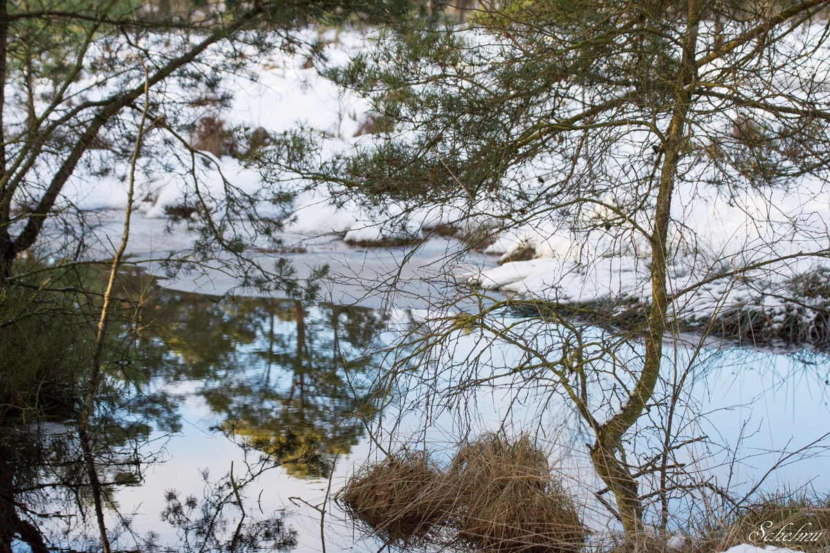 [No title]