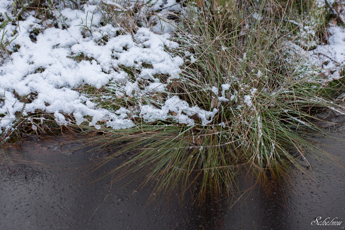 [No title]