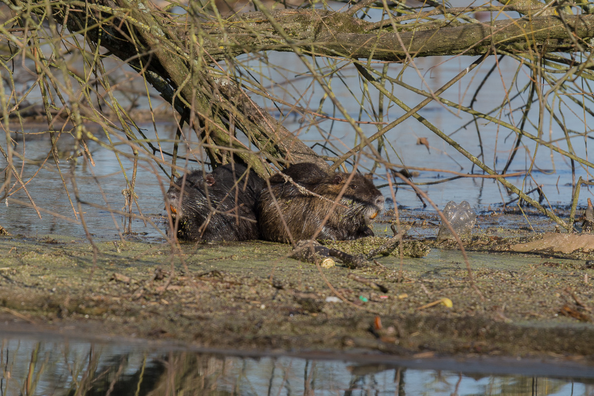 [No title]