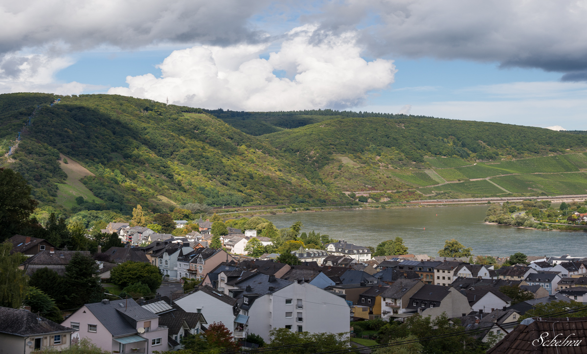 [No title]