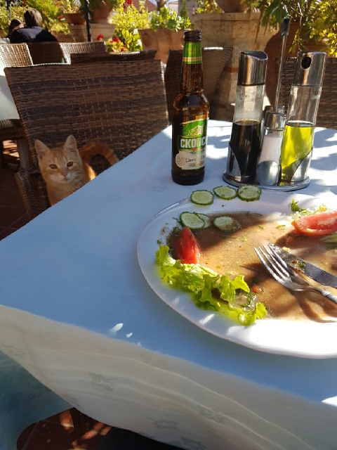 [No title]